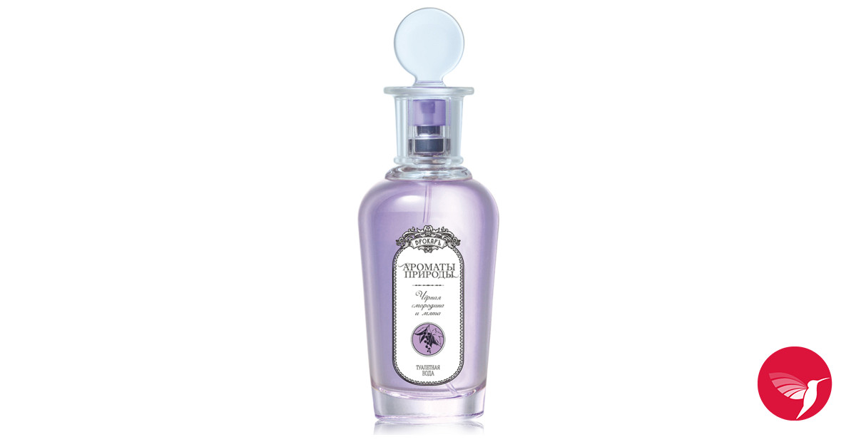 Черная смородина и мята - Black currant and Mint Brocard аромат ...