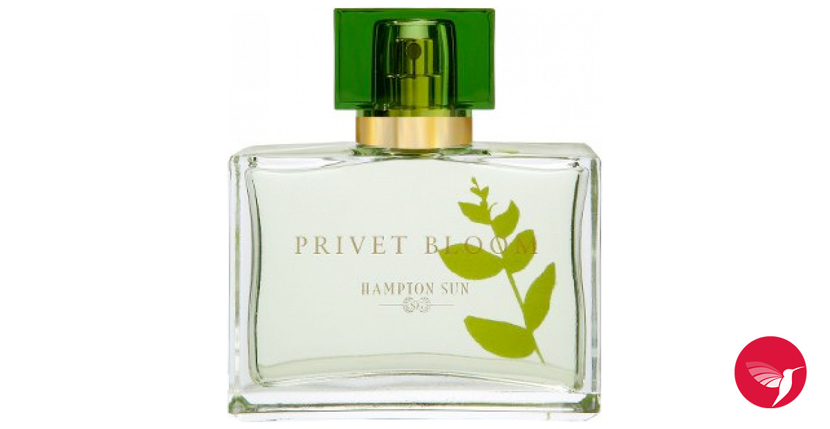 hampton sun privet bloom eau de parfum