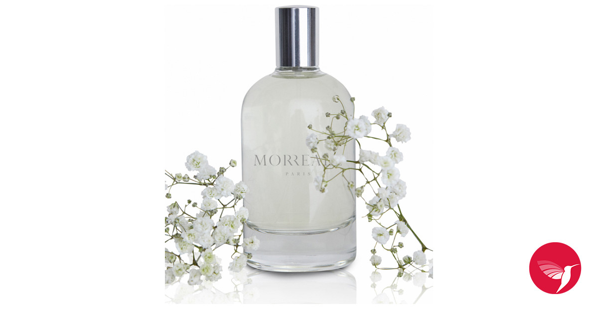 Morreale discount perfume review