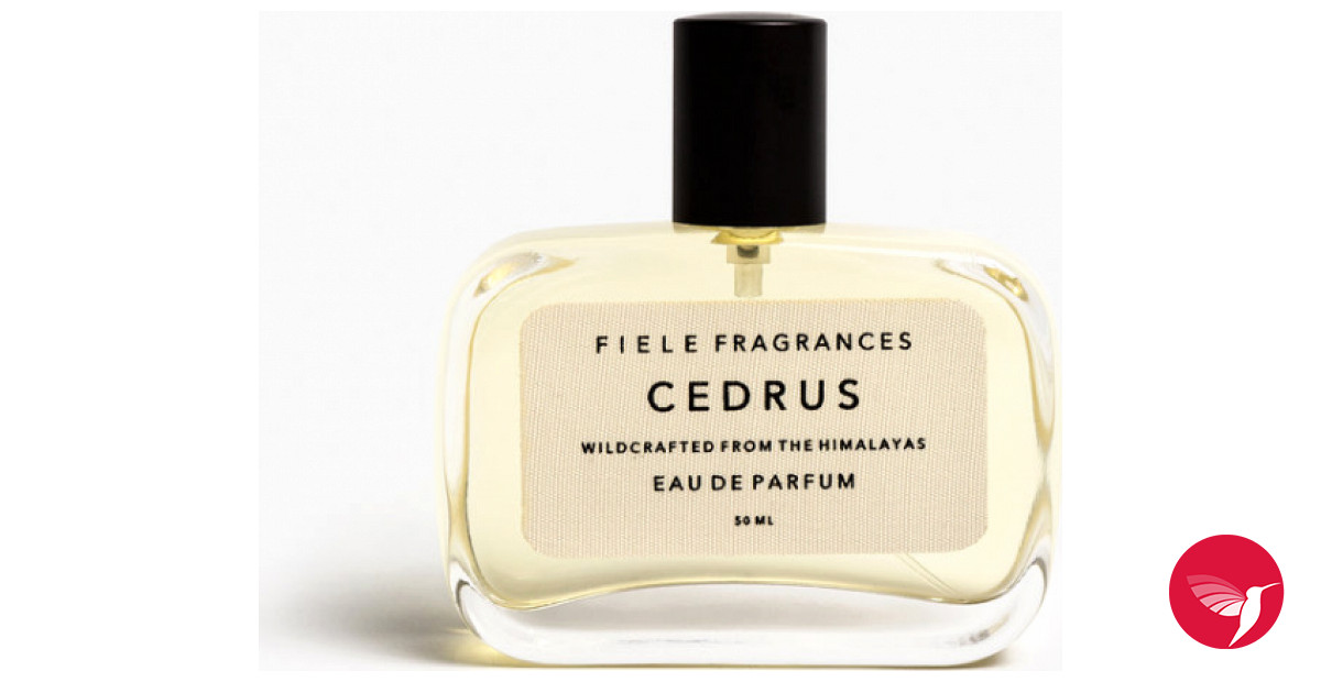 Cedrus Fiele Fragrances perfume - a fragrance for women and men