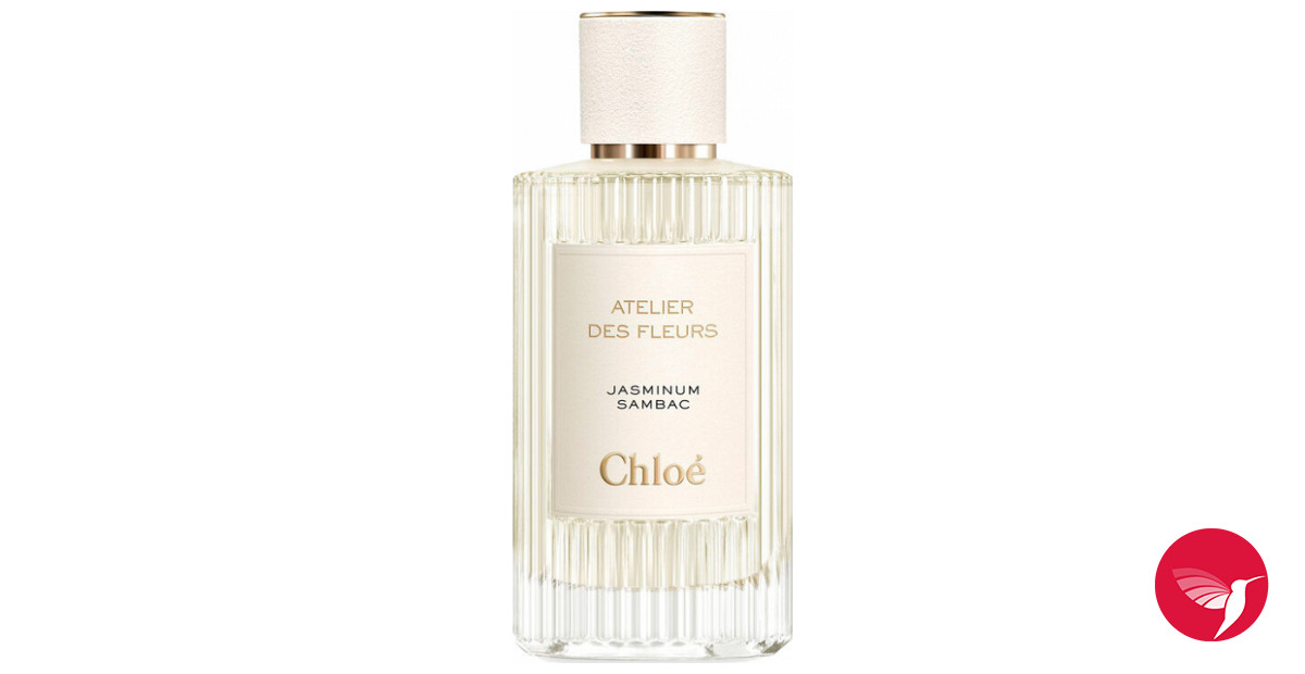 Jasminum Sambac Chloé perfume - a new fragrance for women 2019