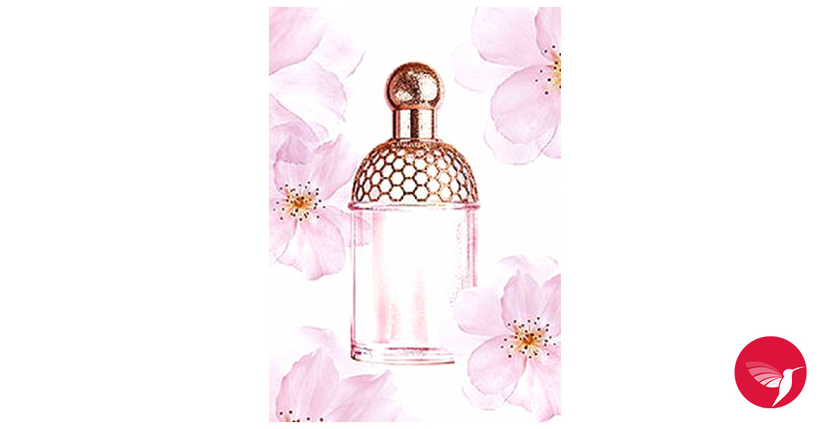 Aqua Allegoria Cherry Blossom Guerlain perfume - a fragrance for 