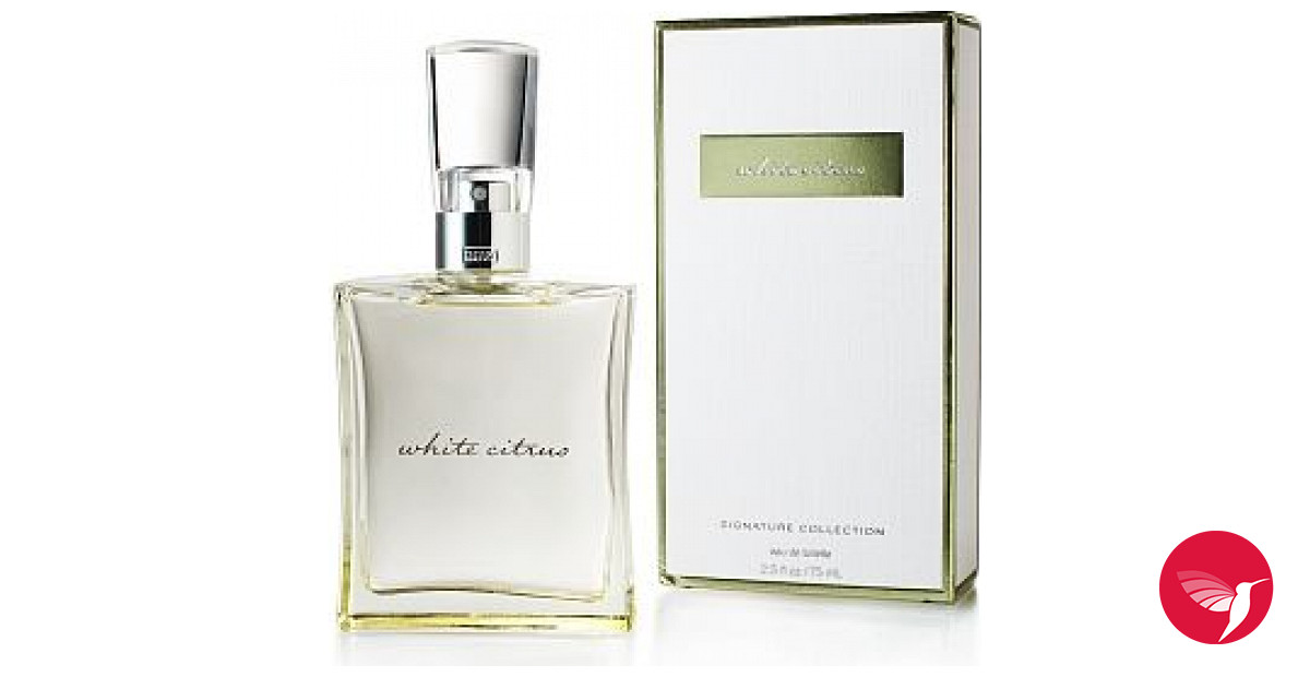Louis Vuitton Discovery Set Perfume HTF! New