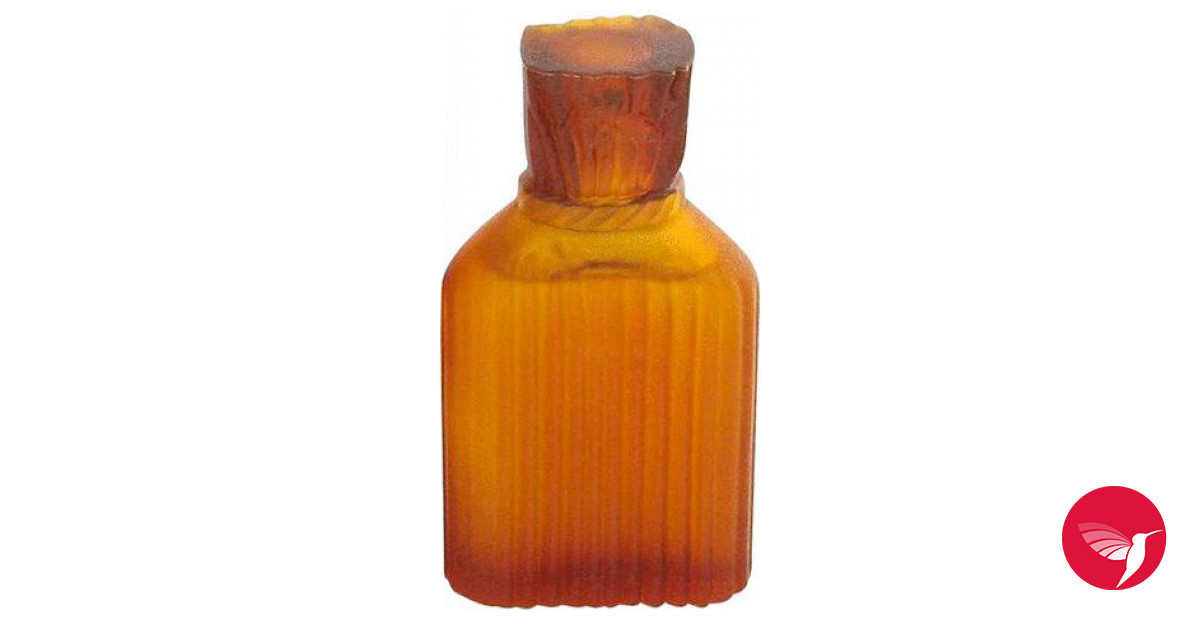 Nicole Miller for Men Nicole Miller Colônia - a fragrância