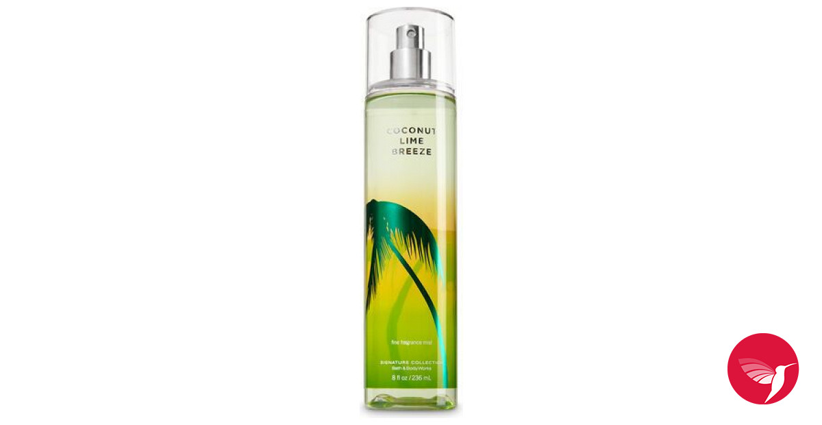  Bath and Body Works Saltwater Breeze Fine Fragrance Mist 8  Fluid Ounce (2022 Limited Edition) : Beauty & Personal Care