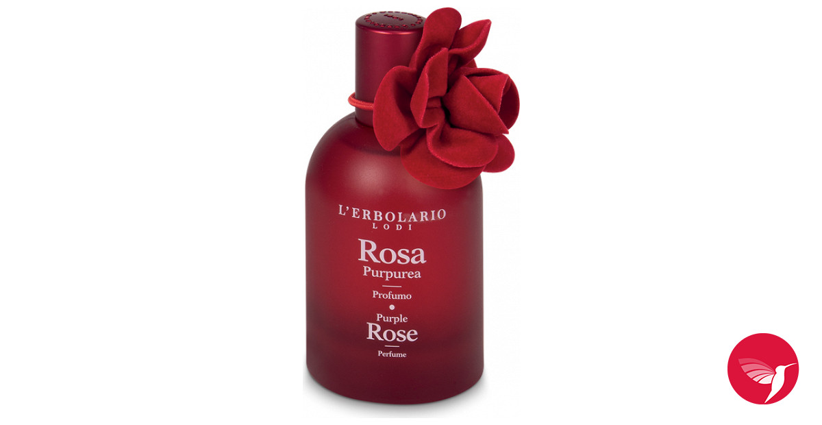 Purple Rose Perfume《Amour》 – Floroma 花の滴