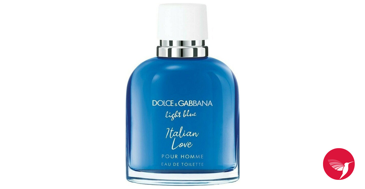  Dolce and Gabbana Light Blue Love Is Love Women 3.3 oz EDT  Spray : Beauty & Personal Care