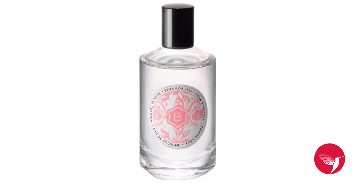 Rosa Regina Benamôr perfume - a new fragrance for women and men 2022