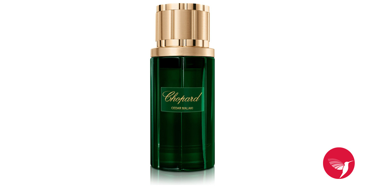 Cedar Malaki Chopard perfume a new fragrance for women and men 2023