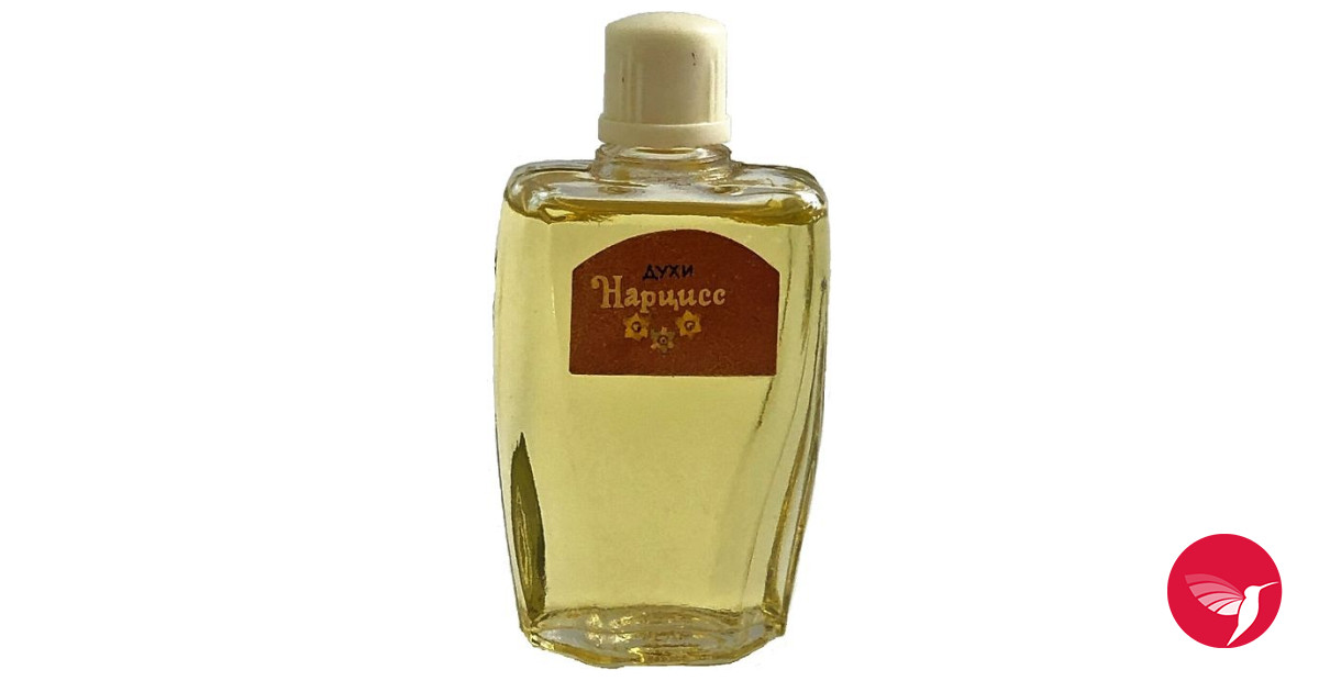 Нарцисс (Narcissus) Северное сияние perfume - a fragrance for women