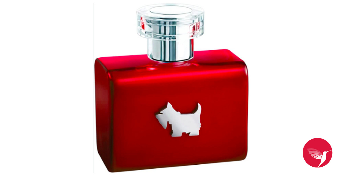 Terrier Red Ferrioni perfume a fragrance for women