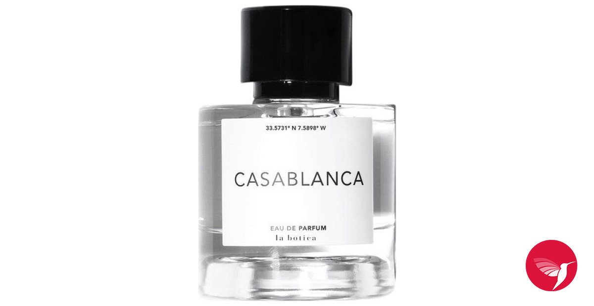 Casablanca discount perfume review