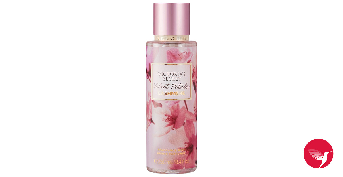 Velvet Petals Cashmere Victoria&#039;s Secret perfume - a new fragrance  for women 2023