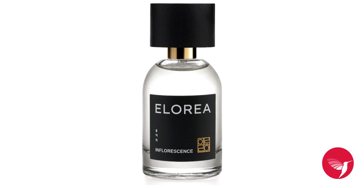 11 of the Best Perfumes of All Time