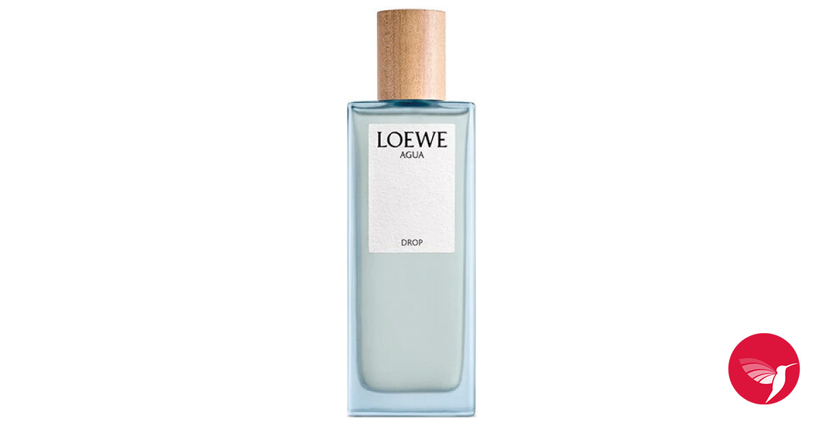 Loewe 2025 solo fragrantica