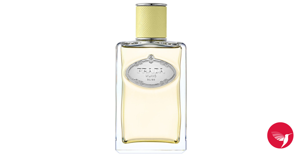 Infusion de Gingembre Prada perfume - a new fragrance for women and men ...