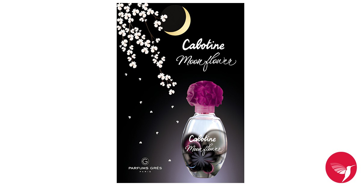 Fragrantica image 3