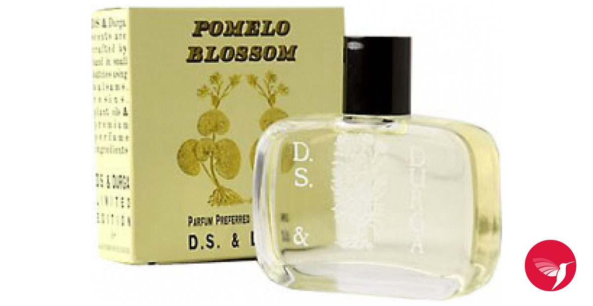 Blossom Unisex Eau De Parfum, Cruelty Free and Vegan Fragrance, Plant-based  Perfume Spray, Infused with Real Flowers, Made in USA, 1.7oz, (Amber