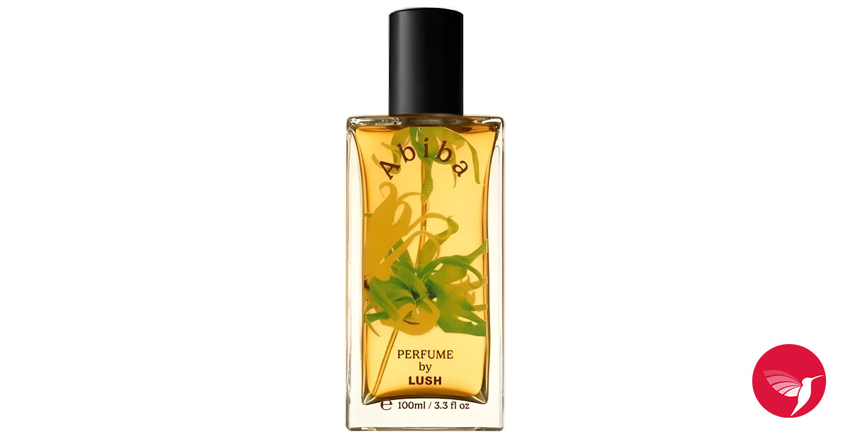 Abiba Lush perfume - a new fragrance for women and men 2024