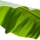 Banana Leaf