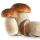 Cep