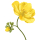 Jarana Flower