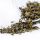 Lishan Tea