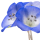Nemophila