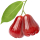 Rose Apple