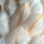 Feathers