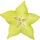 Carambola (Star Fruit)