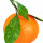 البرتقالي الماندرين