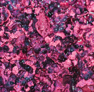 Borras de Vinho