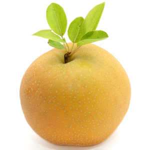Pera-Nashi