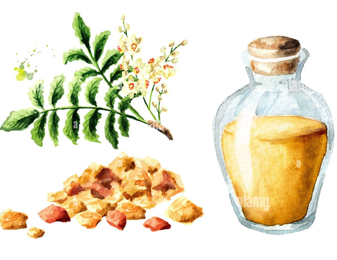 Hương Balsamic