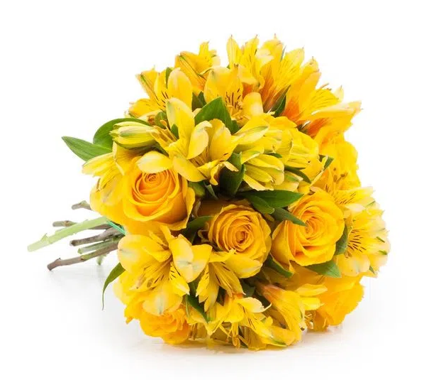 Flores Amarelas