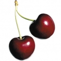 Cereja Queimando