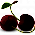 Cereja Preta