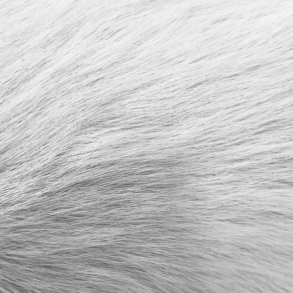 Orcanox™