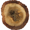 Oud Malaio
