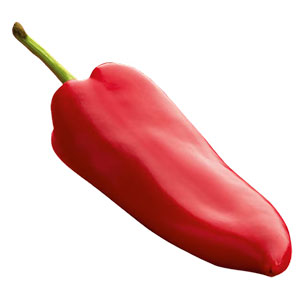 Pimenta da Jamaica