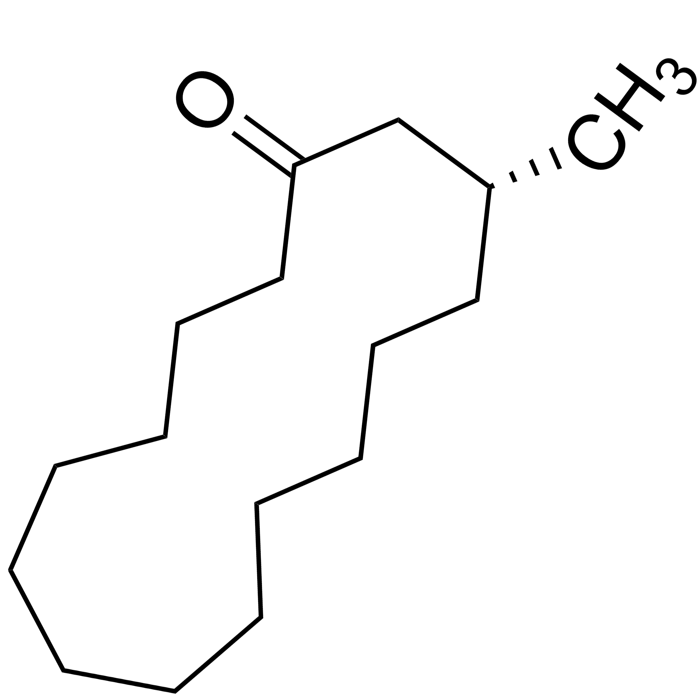 Muscona
