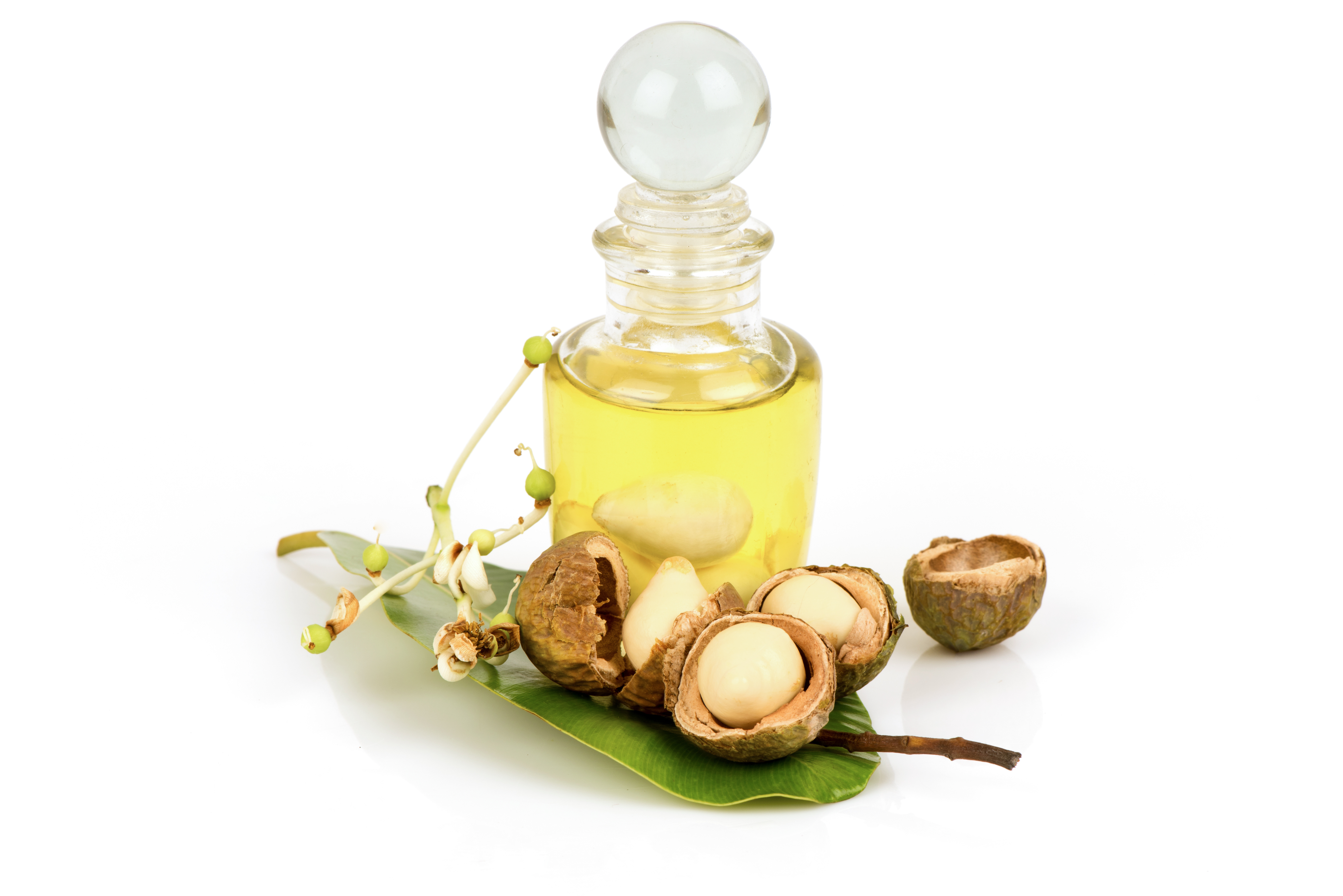 Tamanu