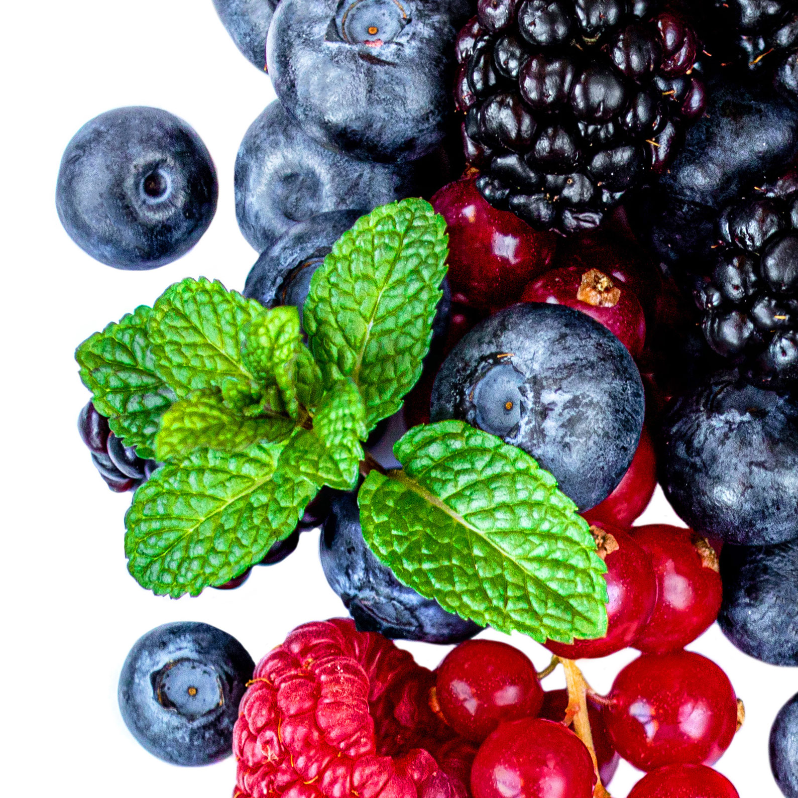 Frutos Silvestres