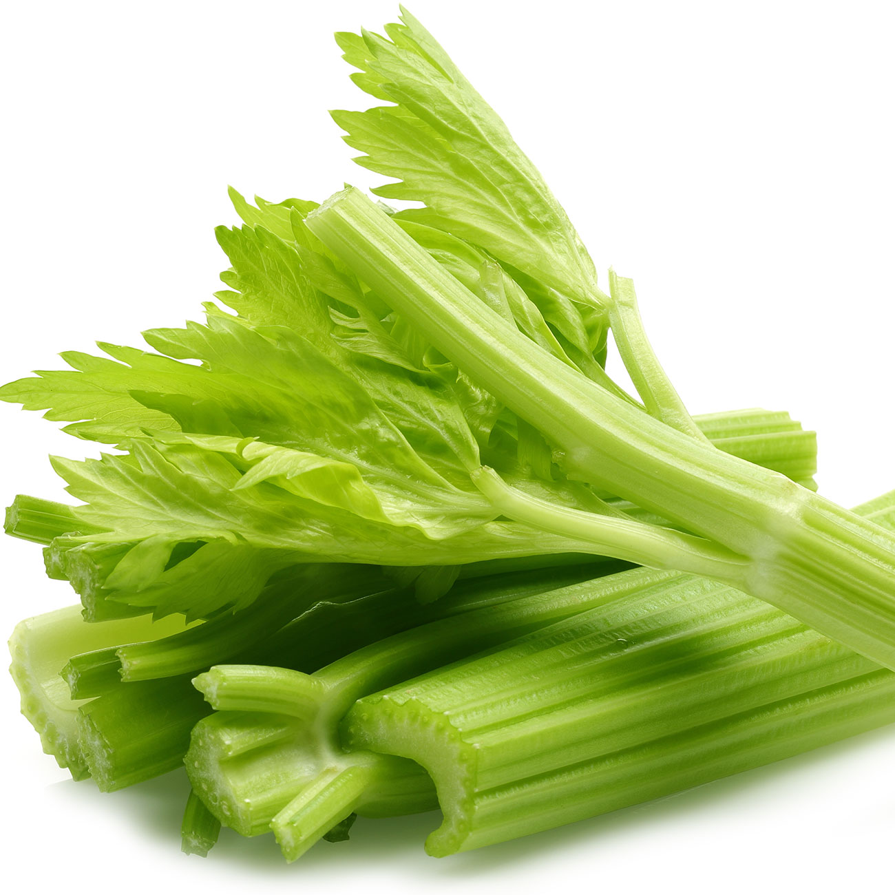 Salsão