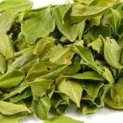 Agathosma