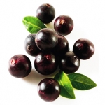 Quả Acai