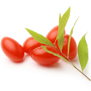 Bagas de Goji