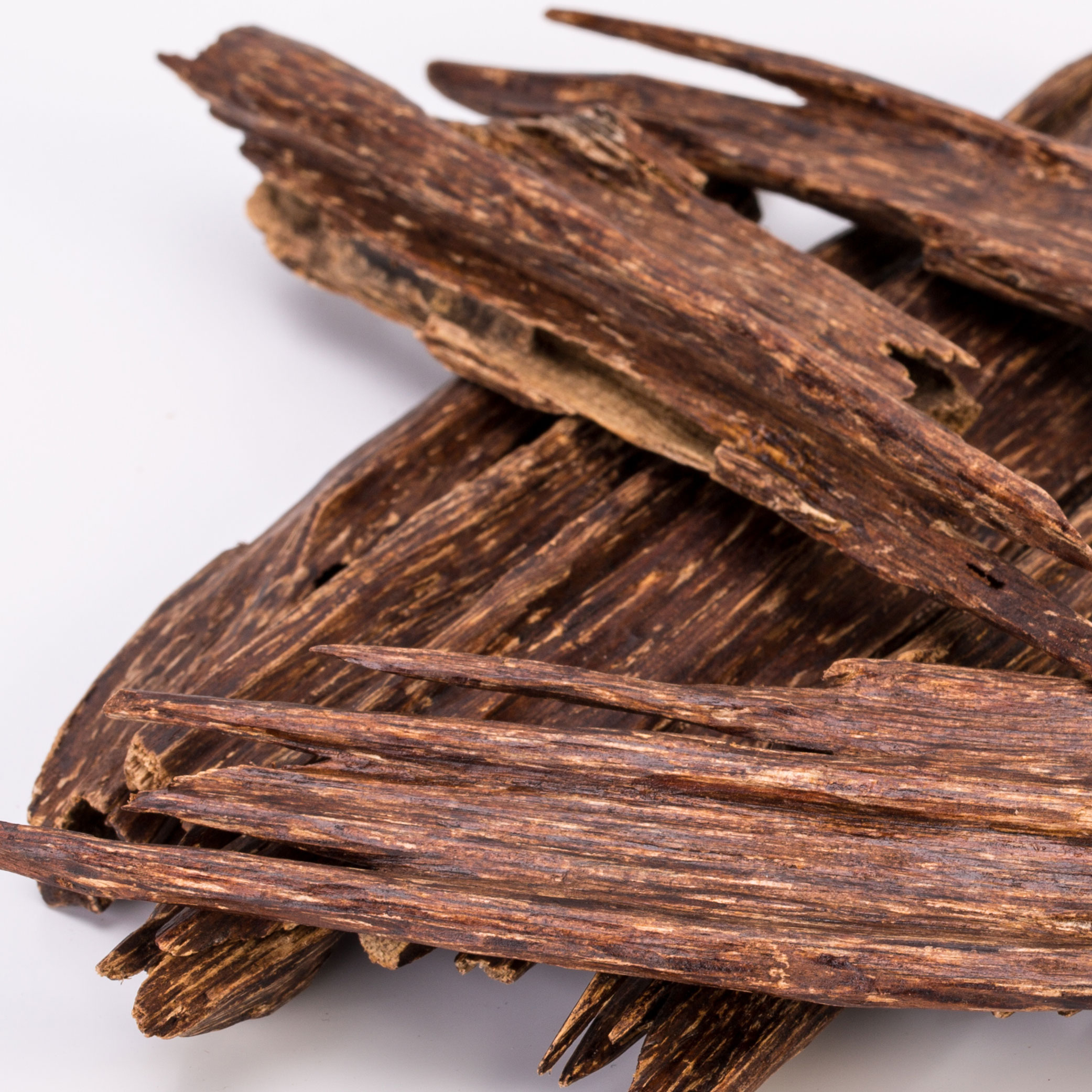 Oud Tailandês