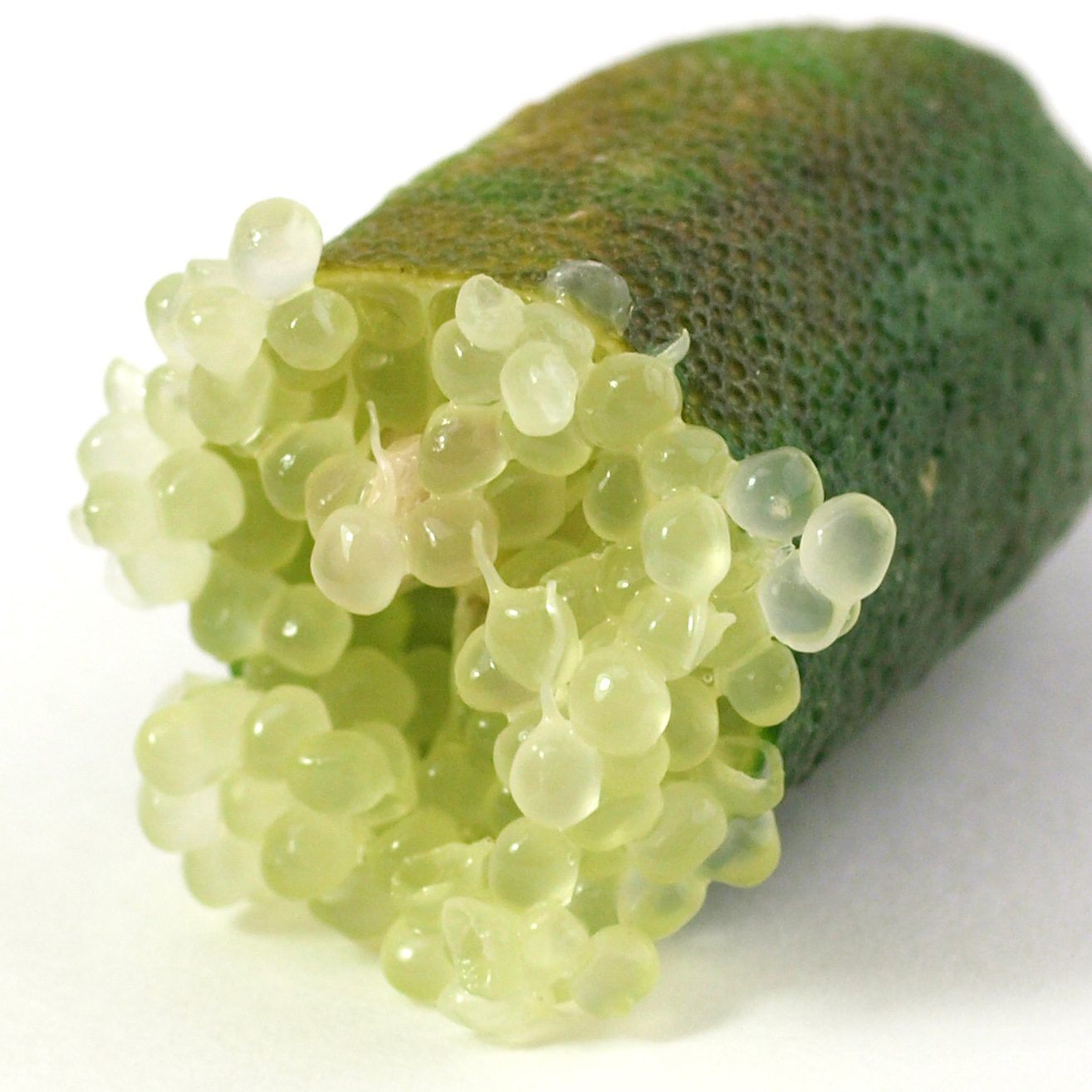 Limão Caviar